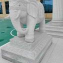保定 白麻花岗岩动物异形石雕-大象