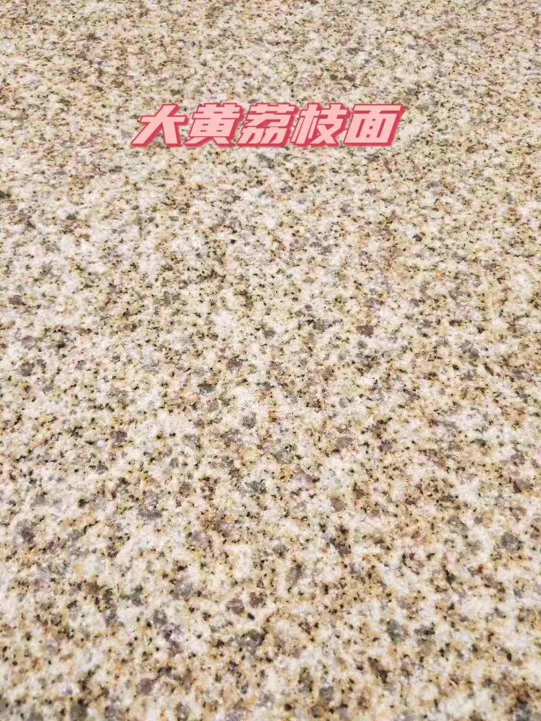 保定黄金麻大黄荔枝面